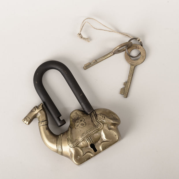 Brass Camel Lock